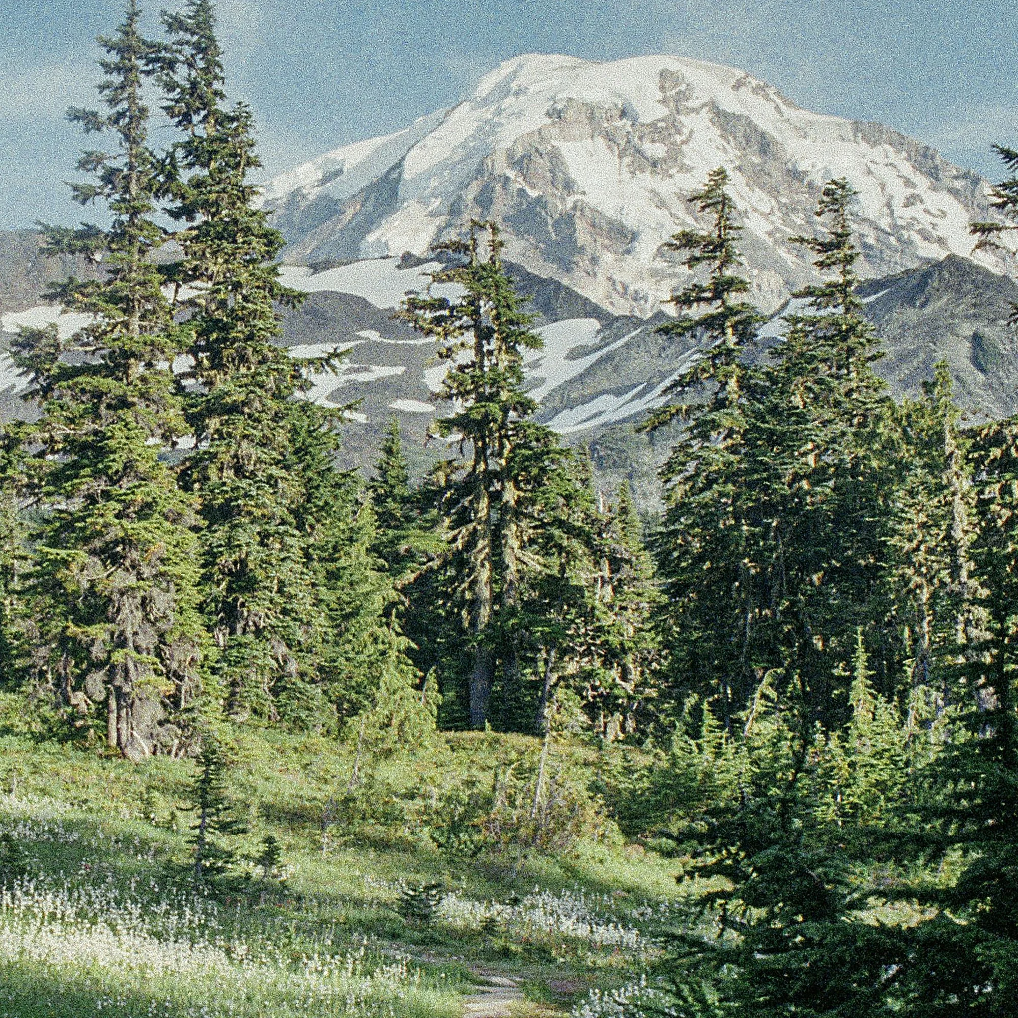 WA AUG 2020 00005.jpg