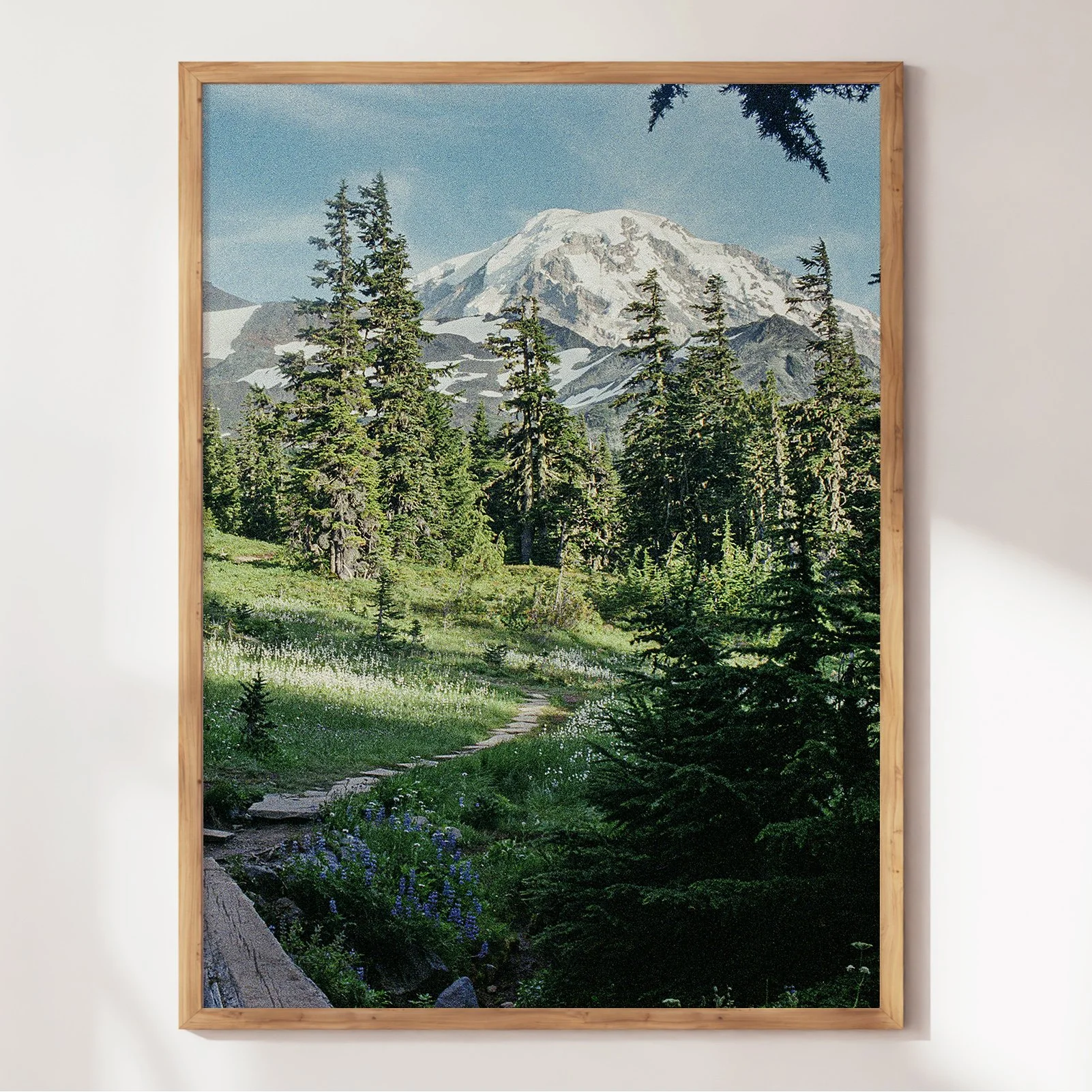 WA AUG 2020 00001.jpg