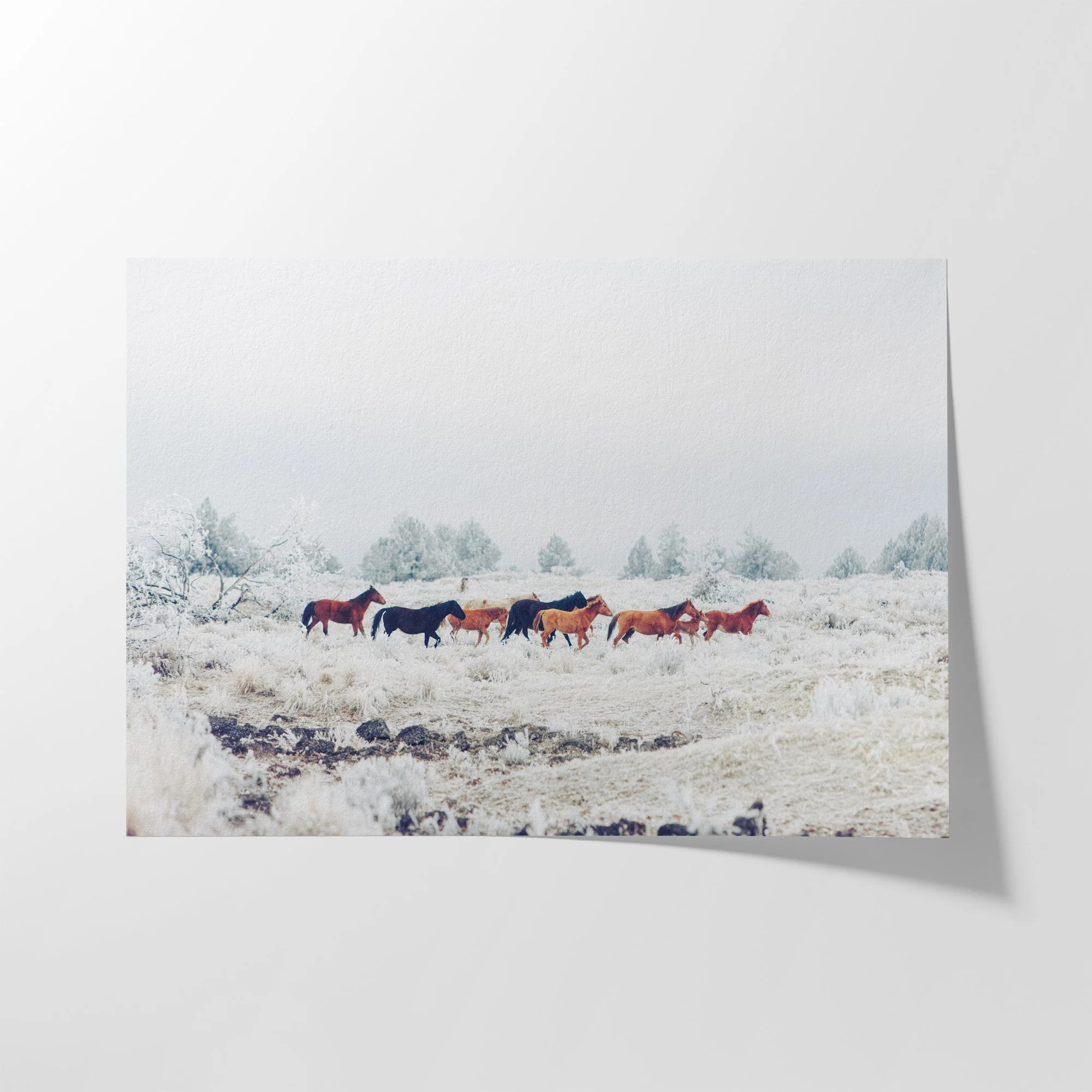 etsyor01 00001.jpg