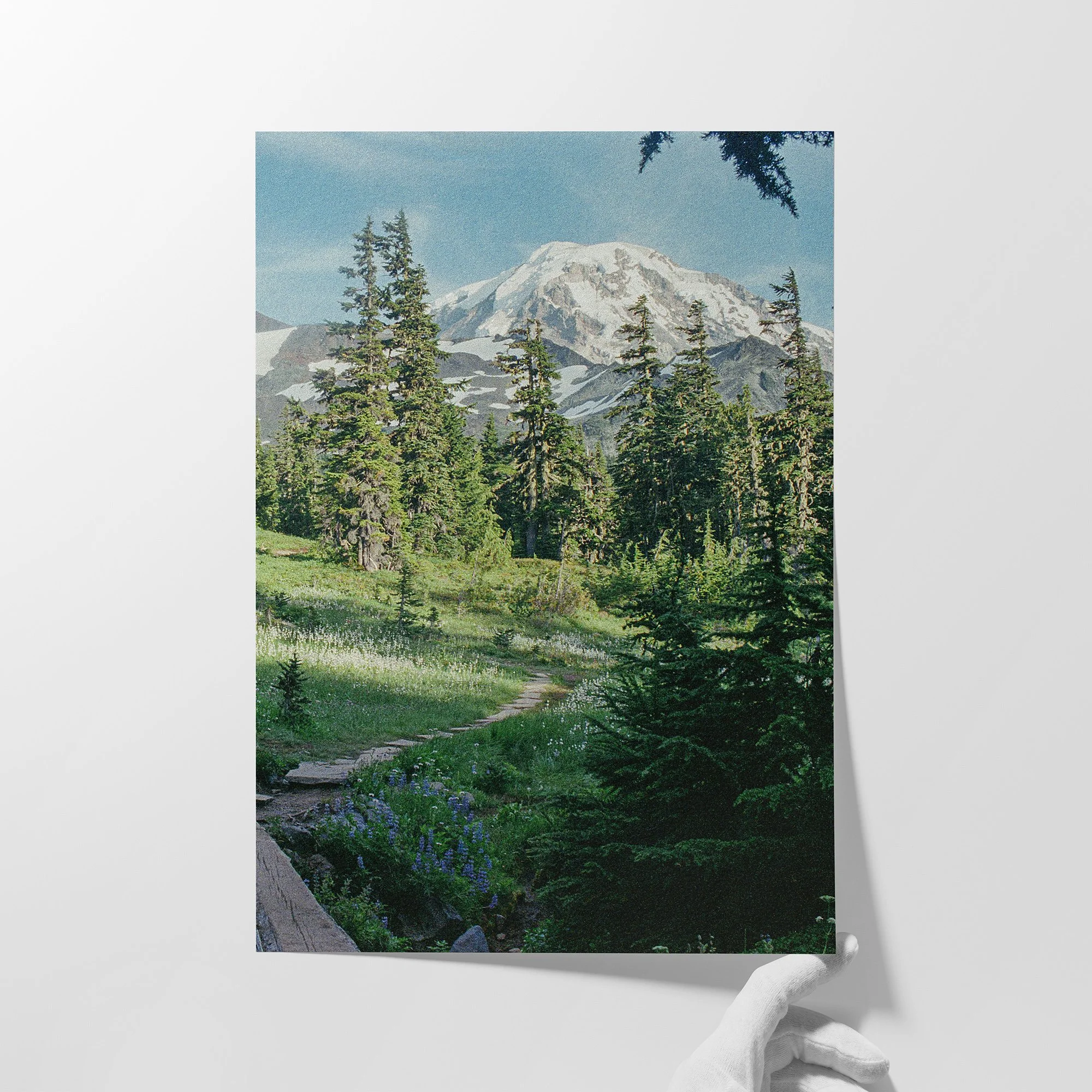 WA AUG 2020 00004.jpg