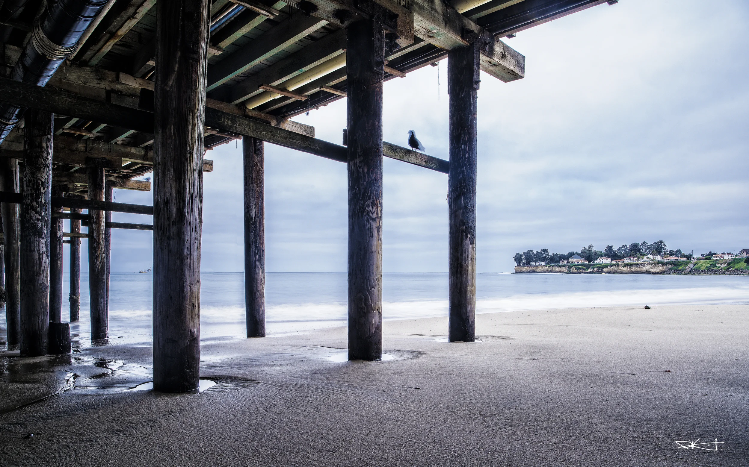 Santa Cruz Beach Pier