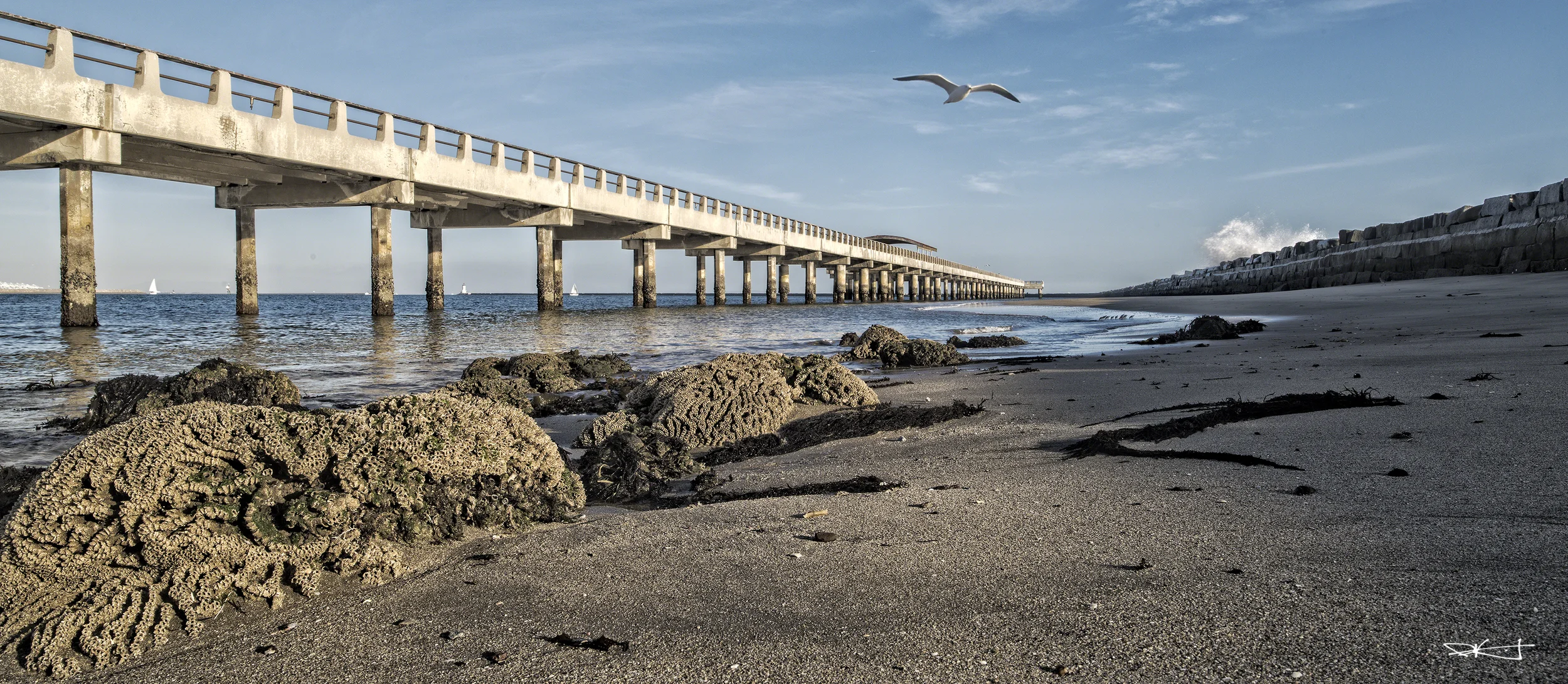 Cabrillo Pier2 WM sm.jpg