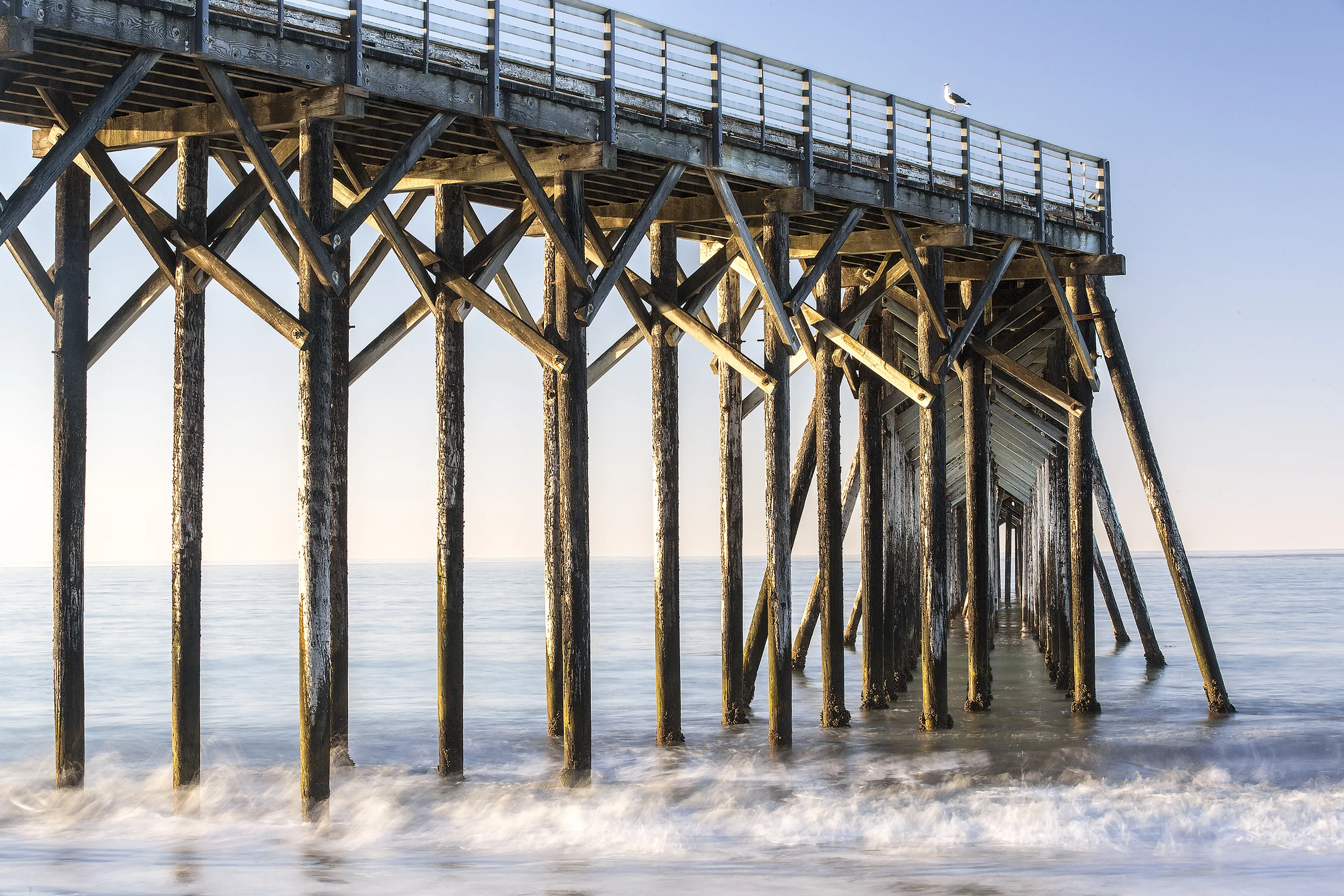 Giant Pier web.jpg