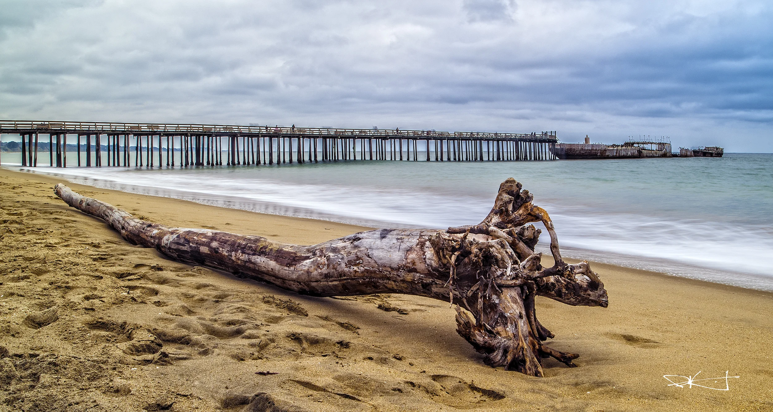 Seacliff1.jpg