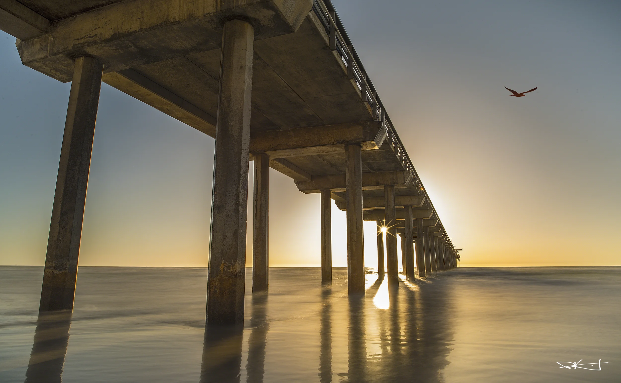 Scripps Pier11 WM sm.jpg