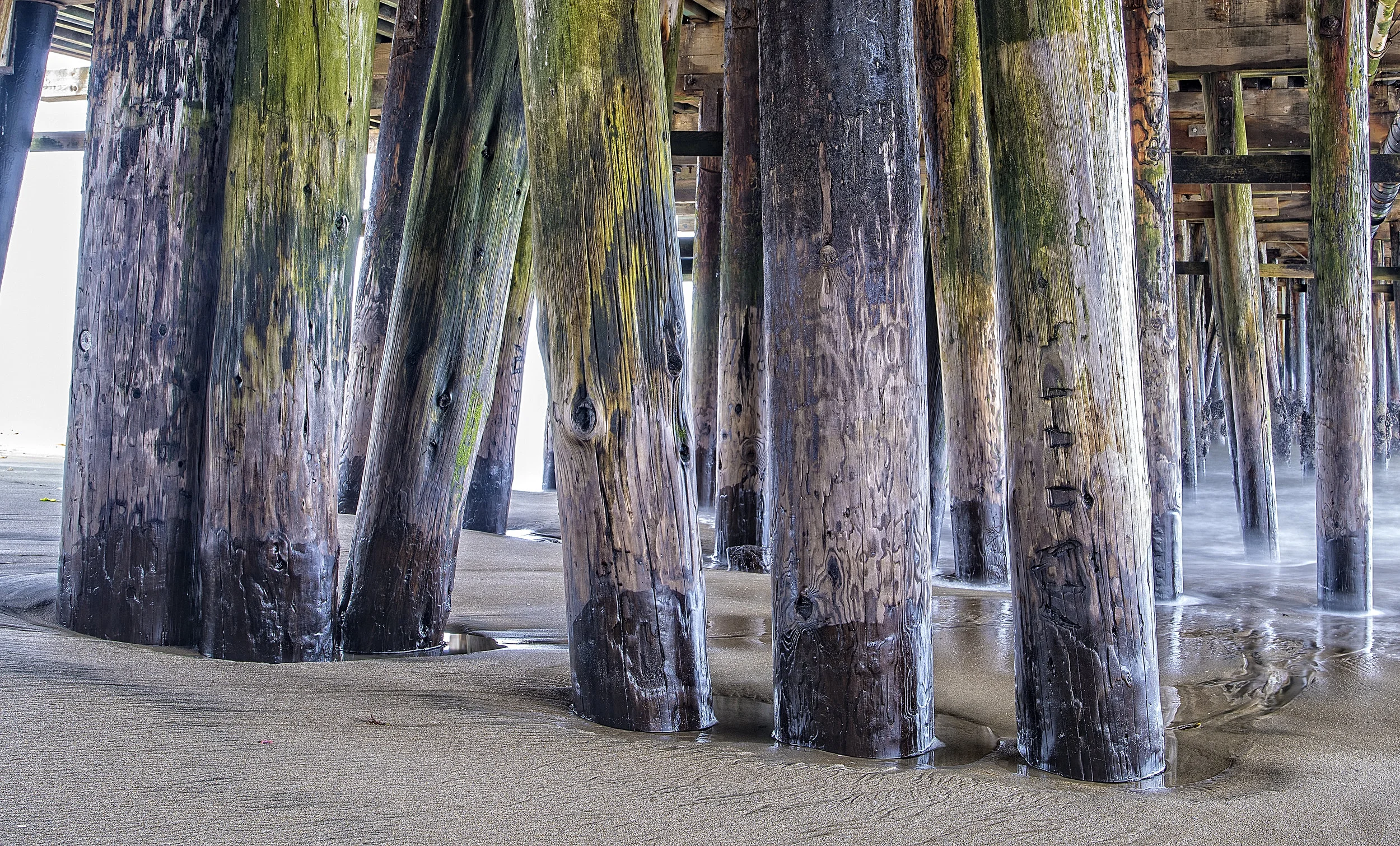 Santa Cruz Book 1b.jpg