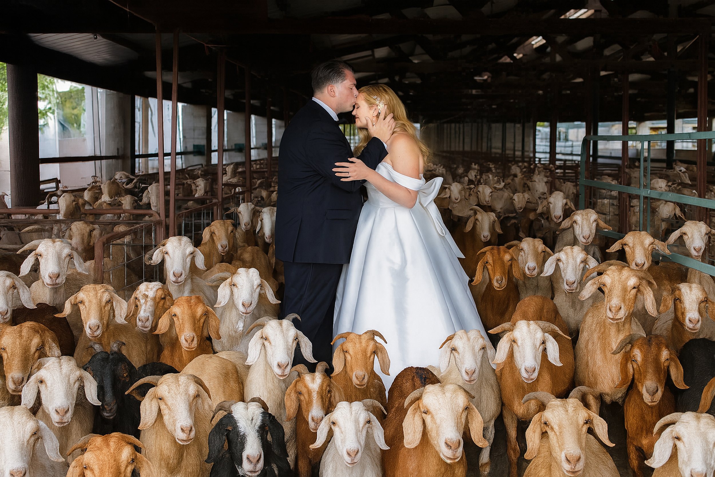 Goat Barn Edit.jpg