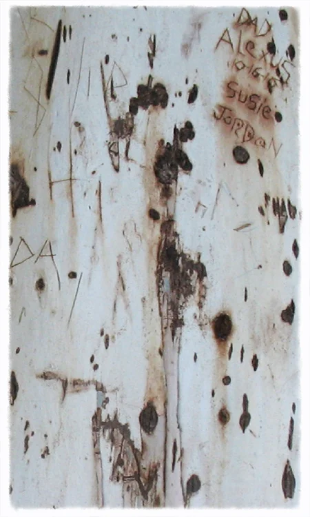 cover image 2.jpg