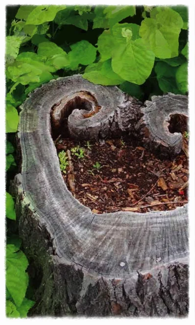Trophic Cascade vertical.jpg