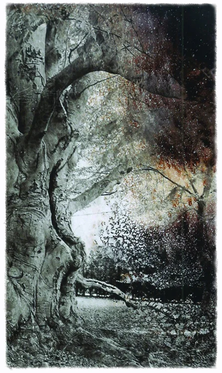 Casting Deep Shade framed.jpg