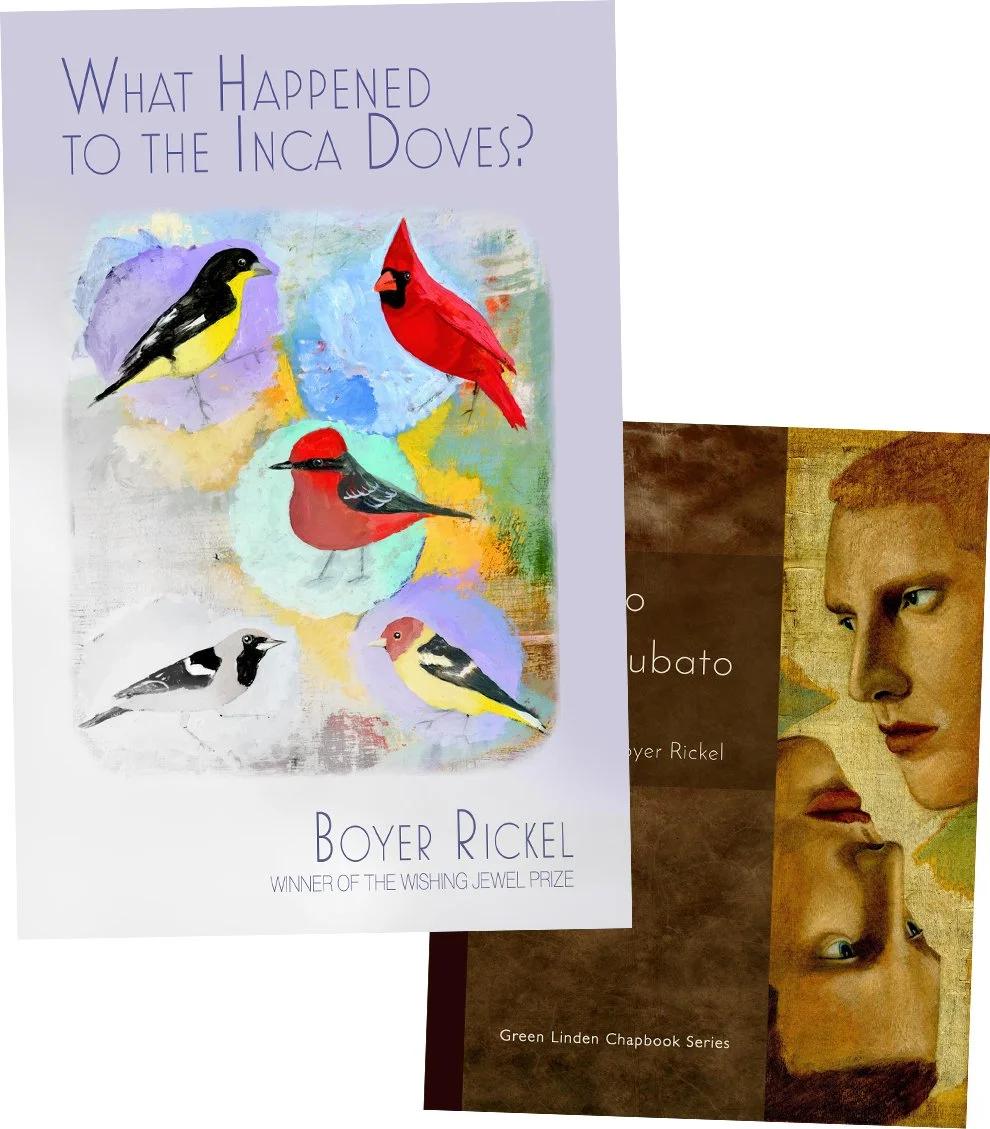 Inca Doves and Tempo Rubato bundle.jpg