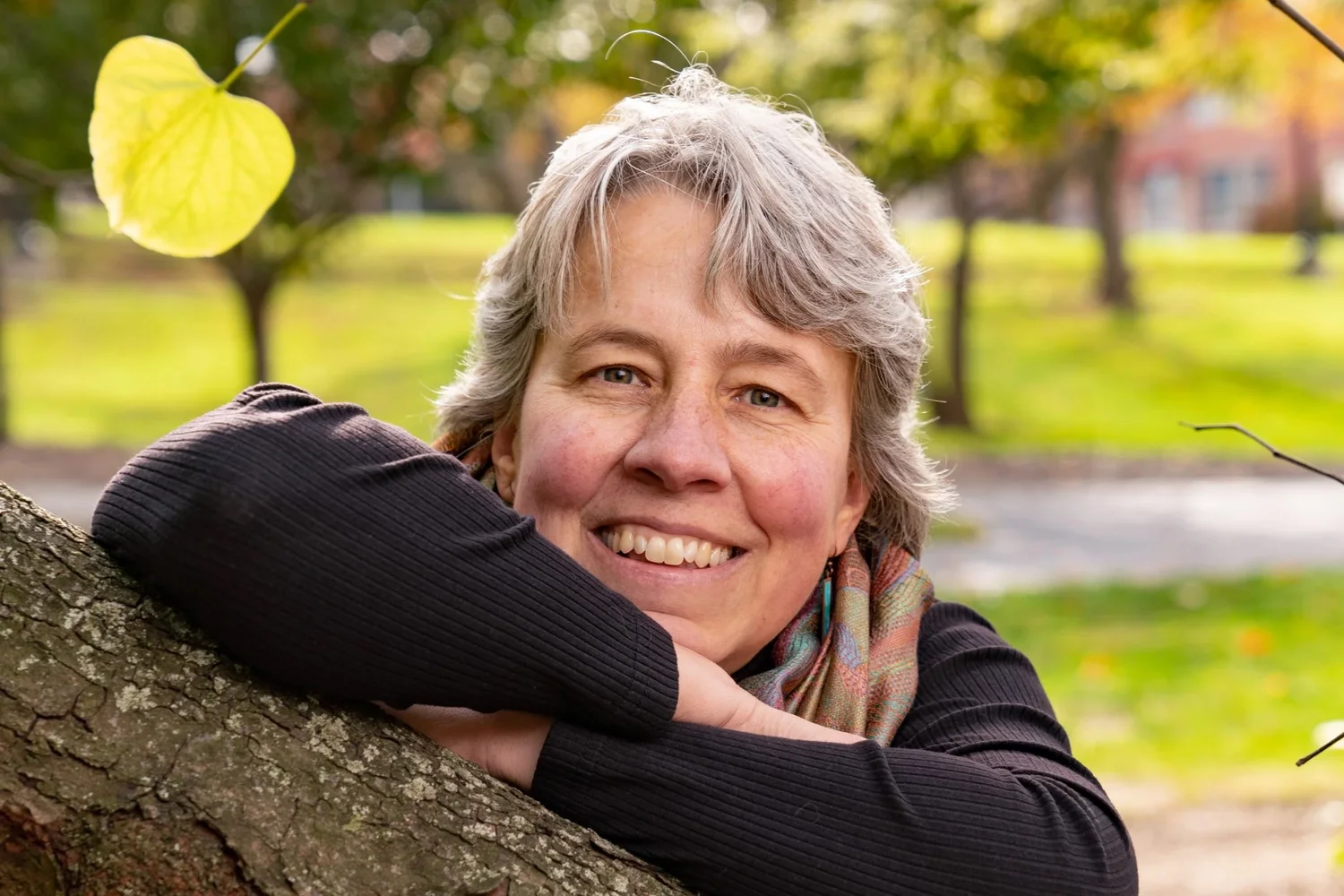 Issue 15 Laurel Anderson — Green Linden Press