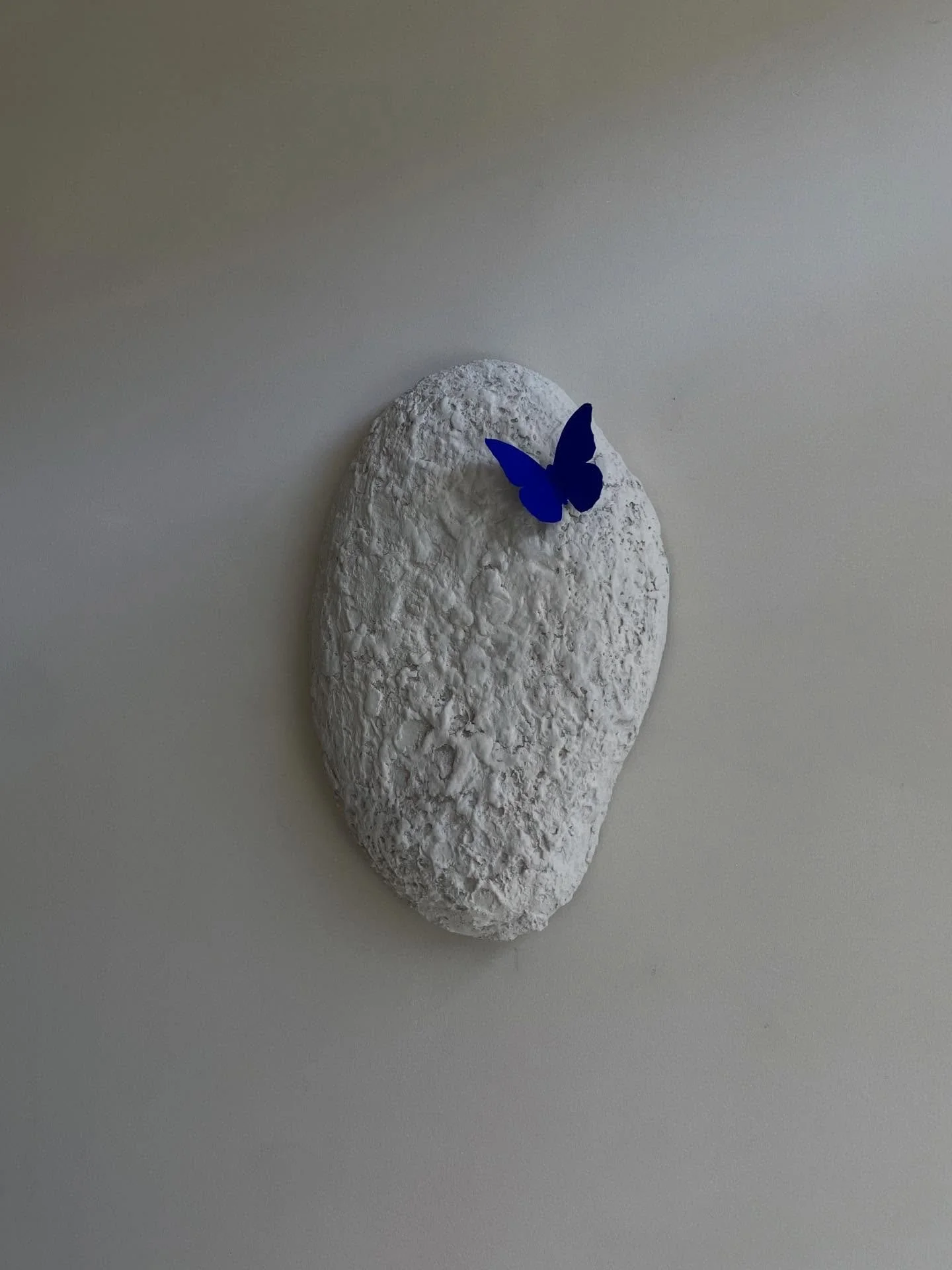 A Quiet becoming, where silence settles.

&lsquo;And just like that, a brief moment of stillness, it sits there. To rest, on the eroded stone&hellip;
As if the world has exhaled and forgotten to breathe back in. The wings, once made for distance, now