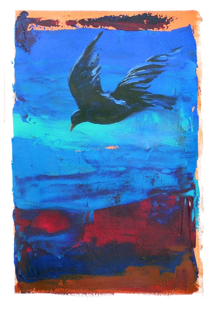 Crow Searching.jpg