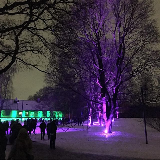 Lysvandring i Botanisk hage i kveld 💜 Glimt fra 2018
.
.
.
#tonight #lysvitenskap #UiO 
#science of #light 💜 #lighting #vsco #botanicalgarden #oslo 💜 #naturhistoriskmuseum 
ENJOY!