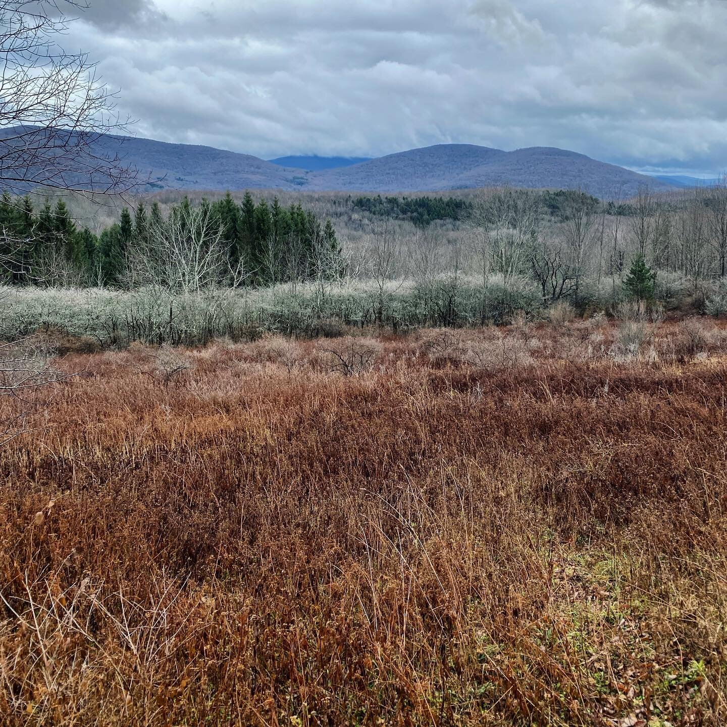 Last weeks nature medicine 🌲 #catskillsmountains