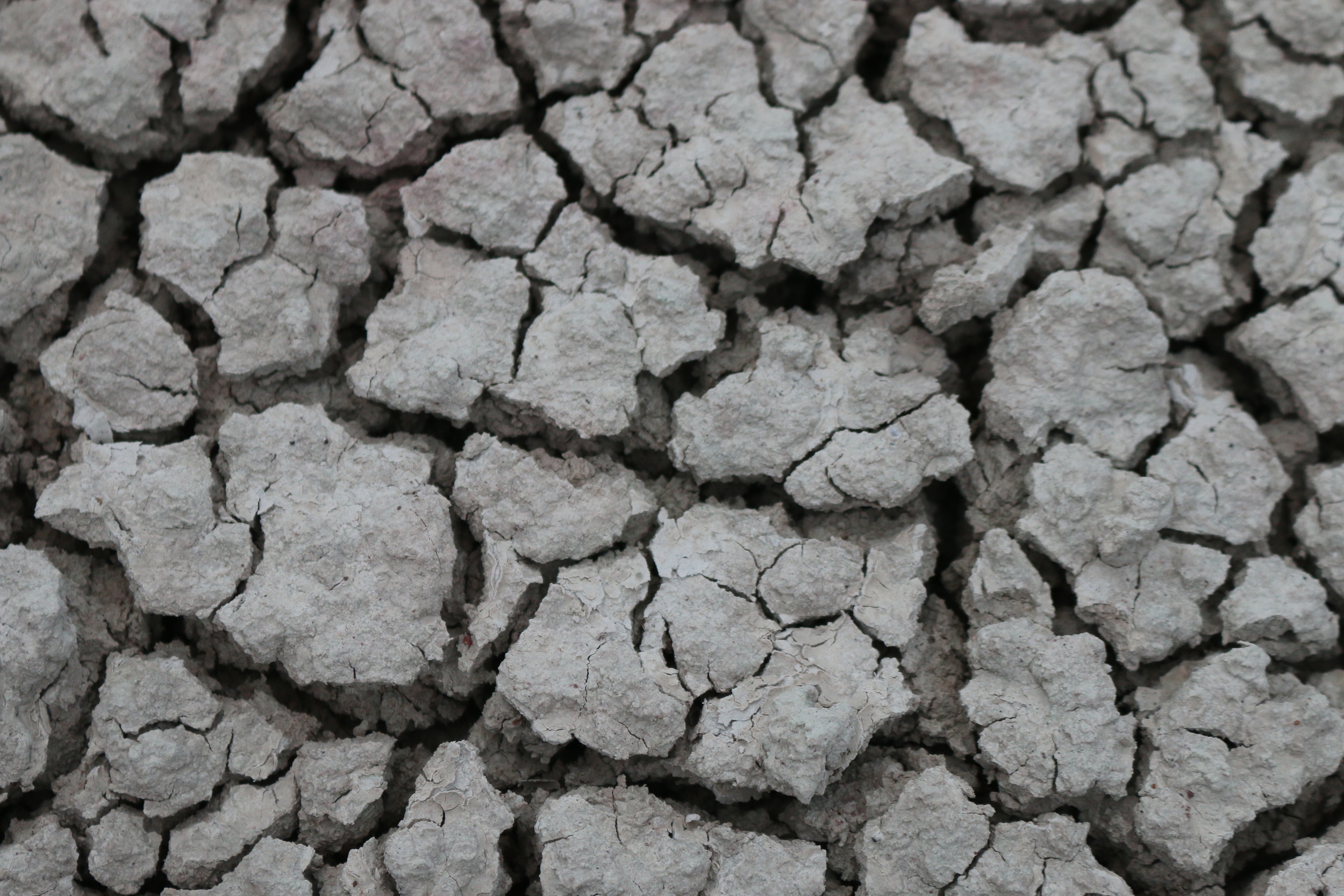 Popcorn soil, Badlands National Park, SD.