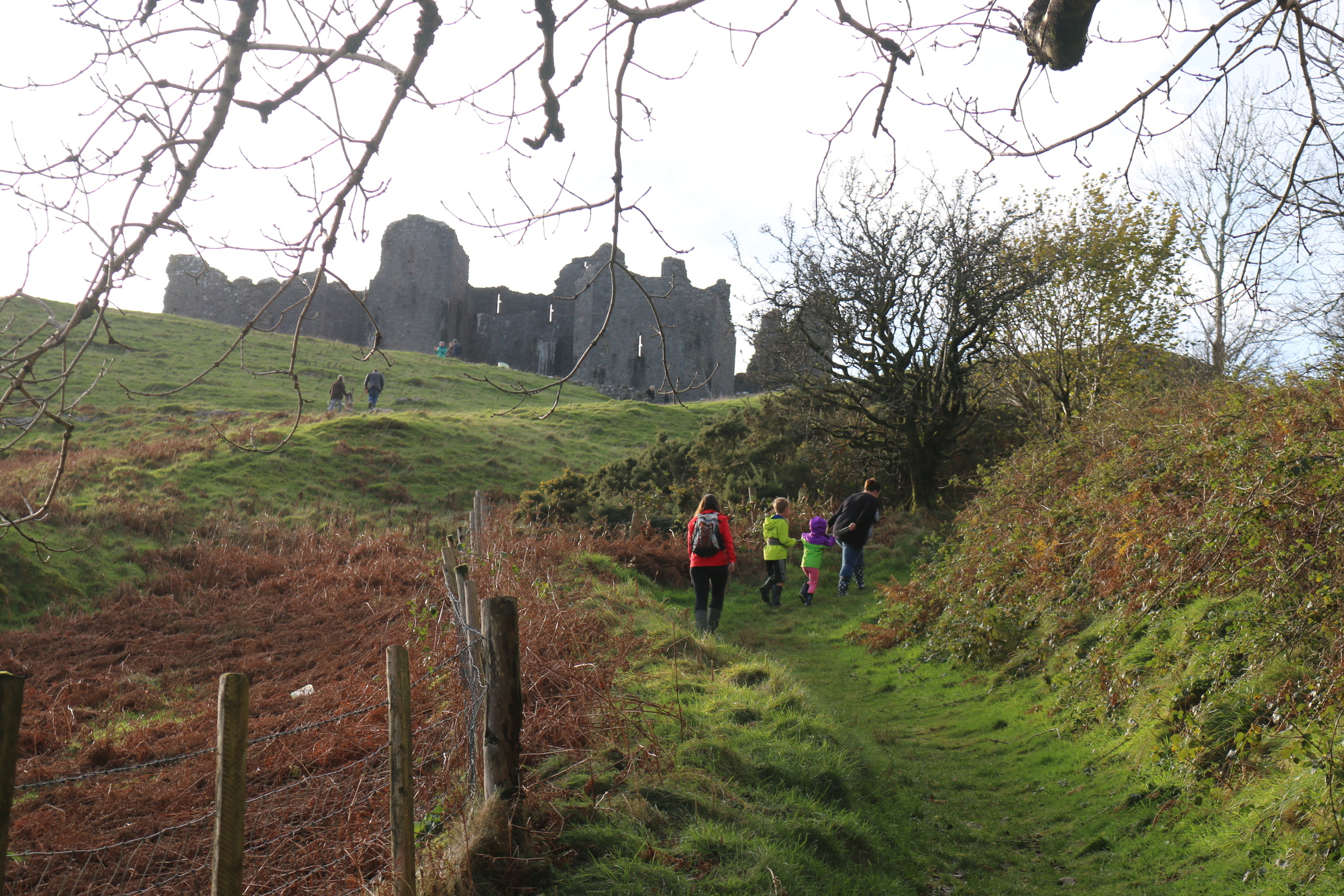 Carreg Cennen Castle: the hike up.