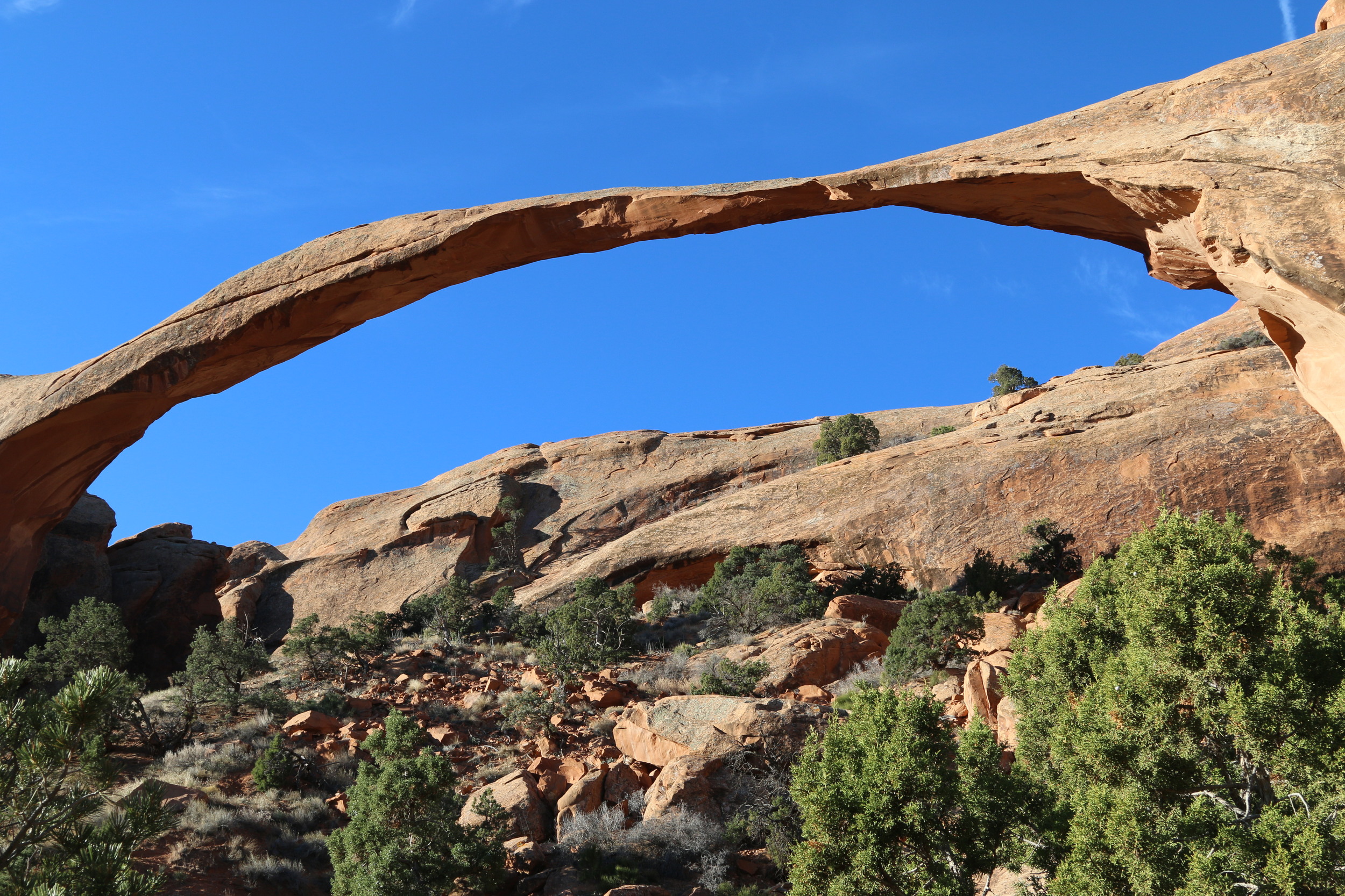 Arches NP: Landscape Arch (spans 290' and is only 6' thick in one part).