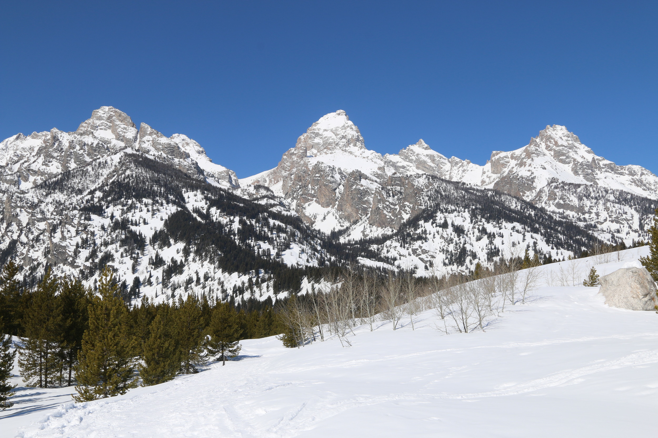 From this angle it's easier to see why the French trappers referred to the range as "Les Trois Tetons"