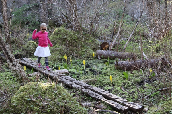 Chilkat State Park