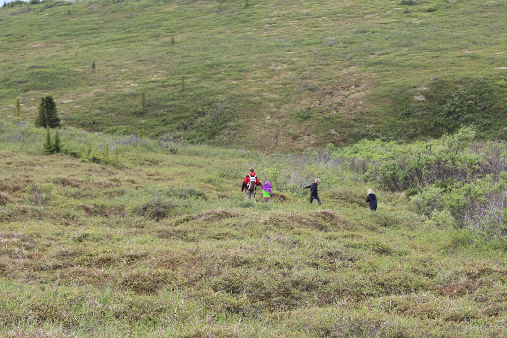 A hike across the Tundra - near Primrose Viewpoint