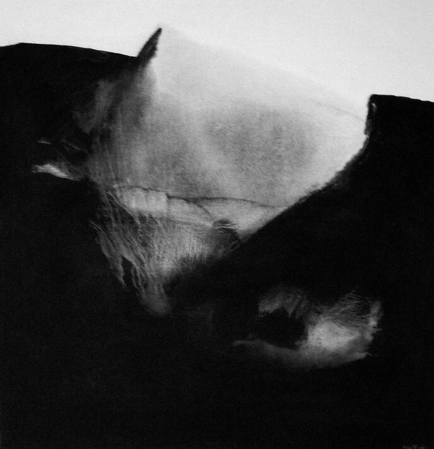 The Light of Day 曦