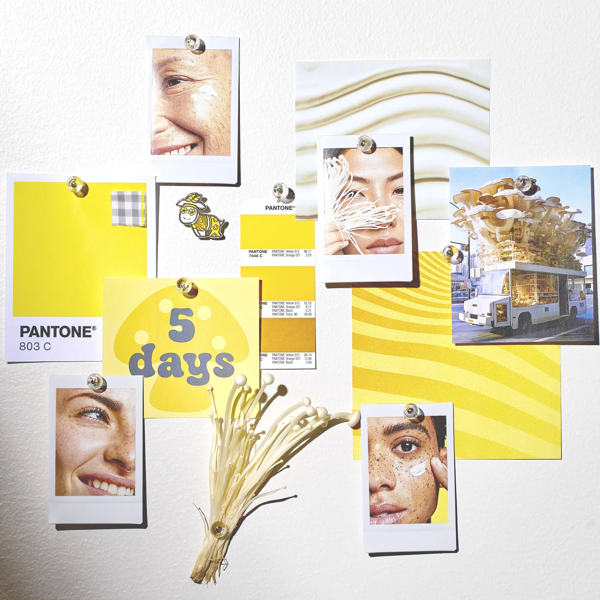 Face 2023 5-0026.jpg