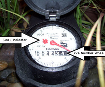 Water Meter Photo.jpg
