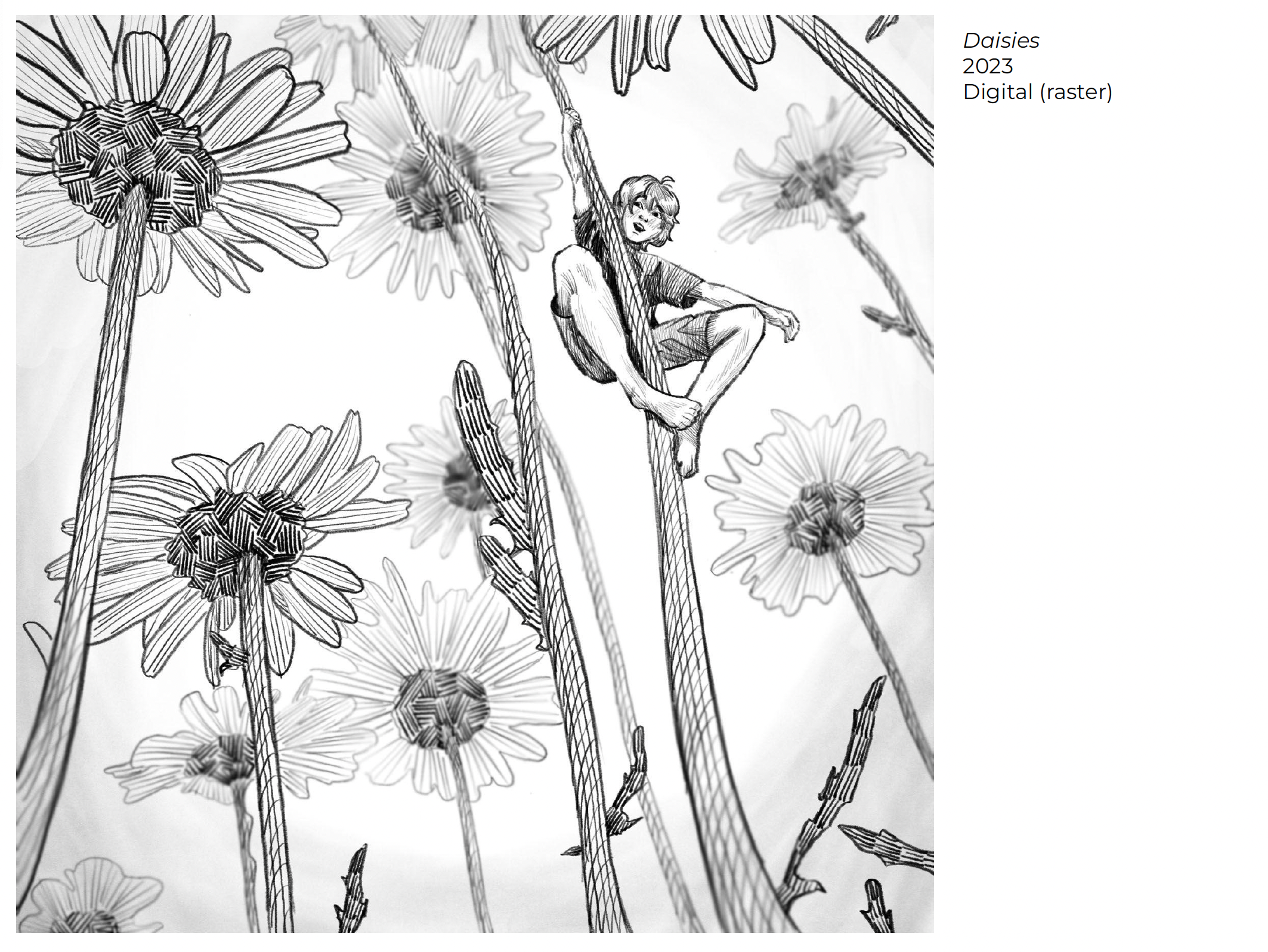 Bella-Amecuza-Digital-Daisies.jpg.png