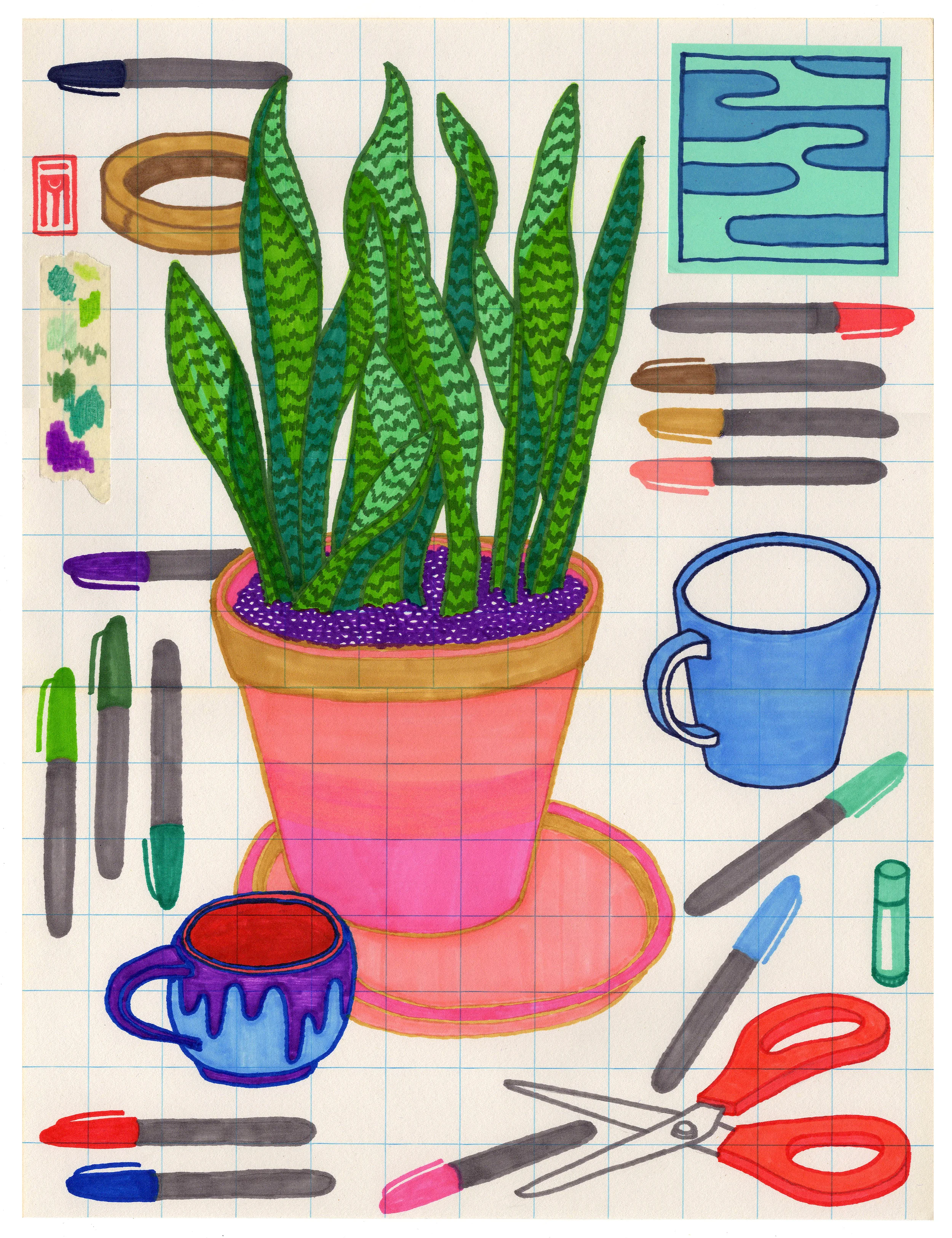 Image / Object Arrangement 1 (Snake Plant)