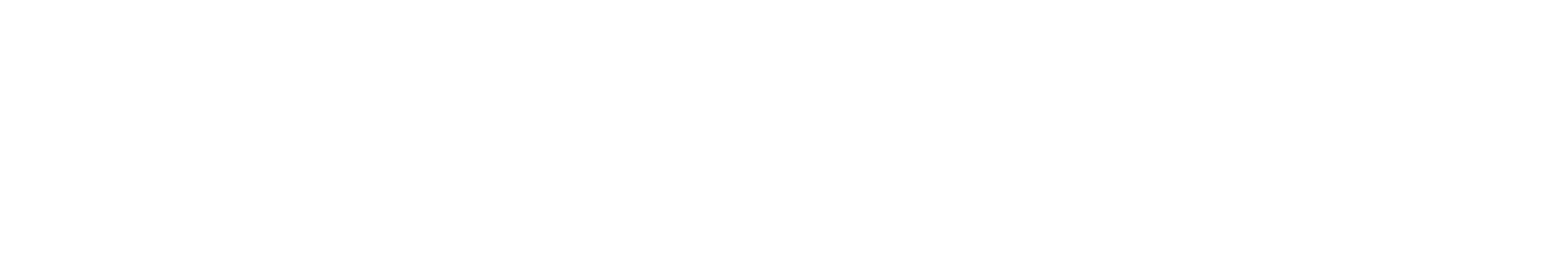 Salt &amp; Iron
