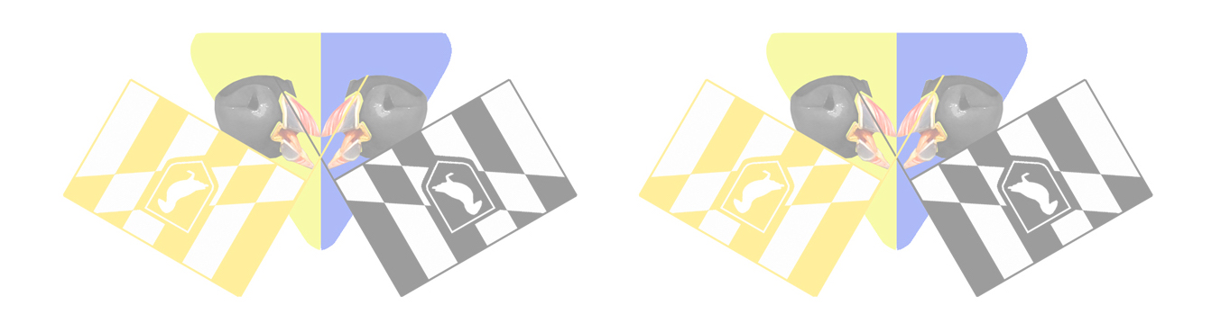vision quest banner.jpg