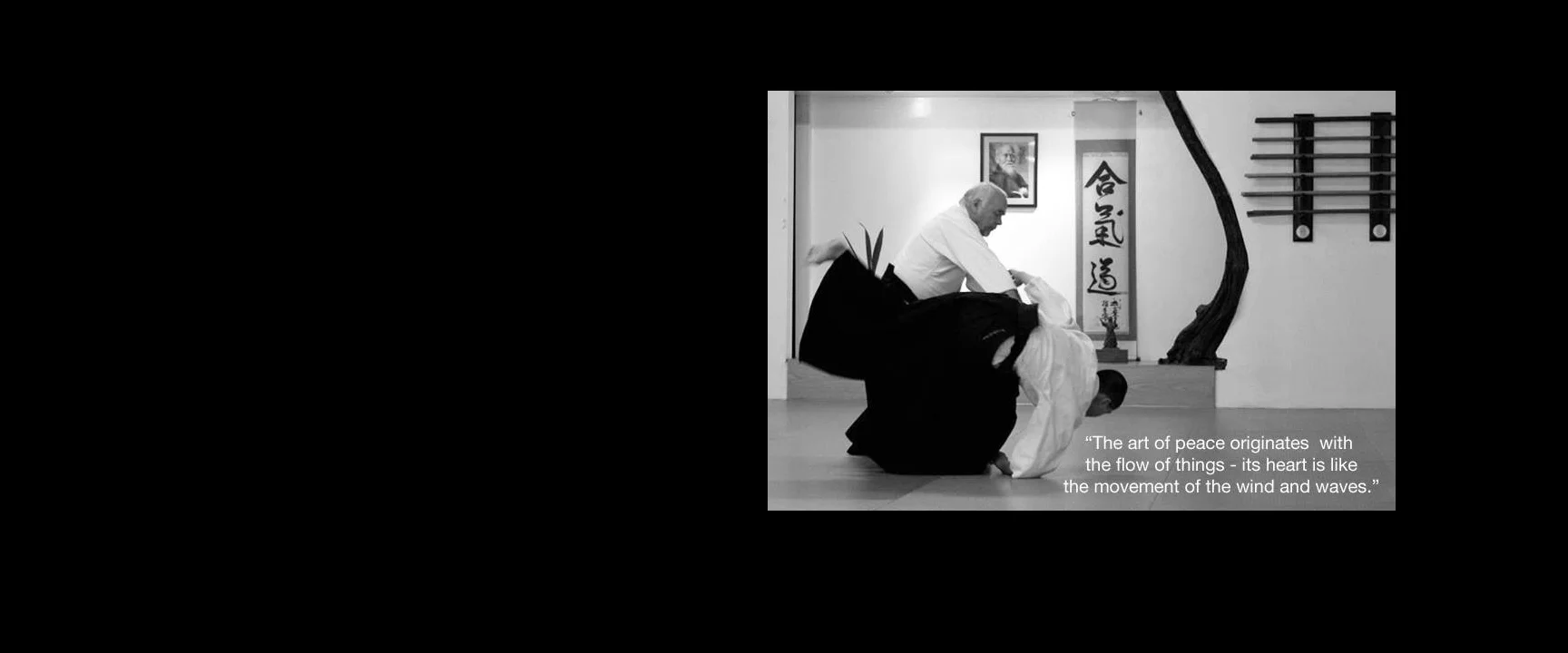 michaelaikido copy.jpg