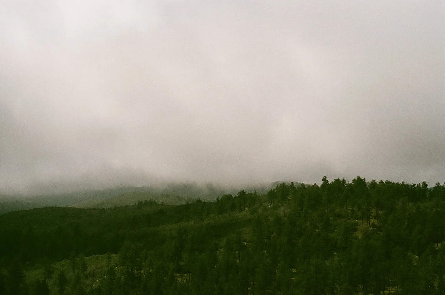 0012_13.jpg