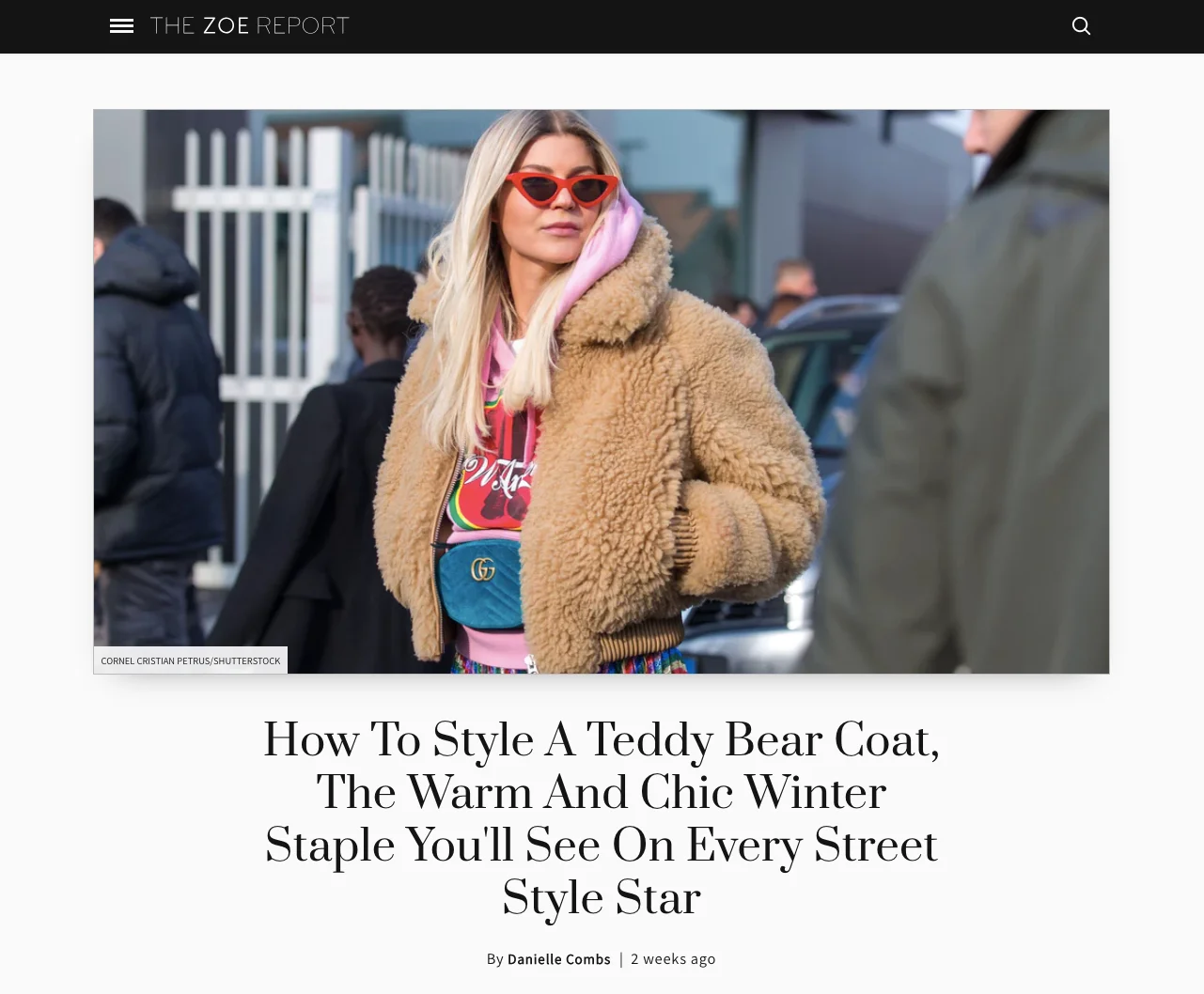 teddy bear coat .jpg