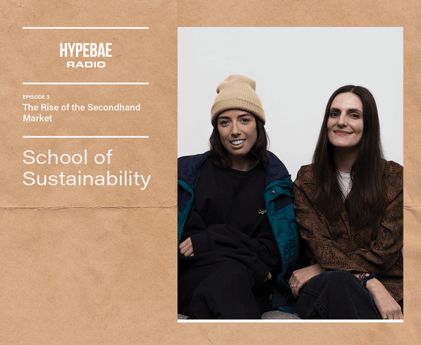 School-of-Sustainability-CFDA-Podcast-epsiode-3-hero.png