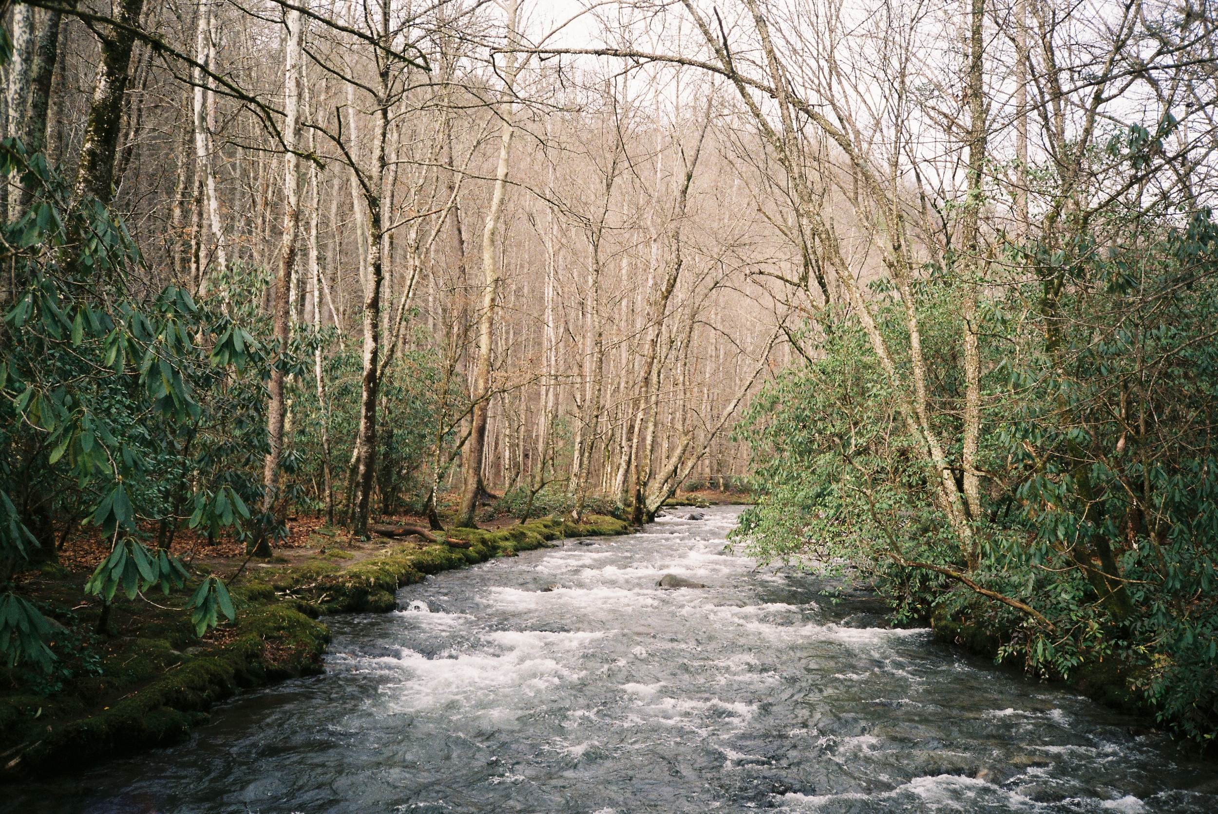 AlexM04_AlexM04-R4-012-4A.jpg