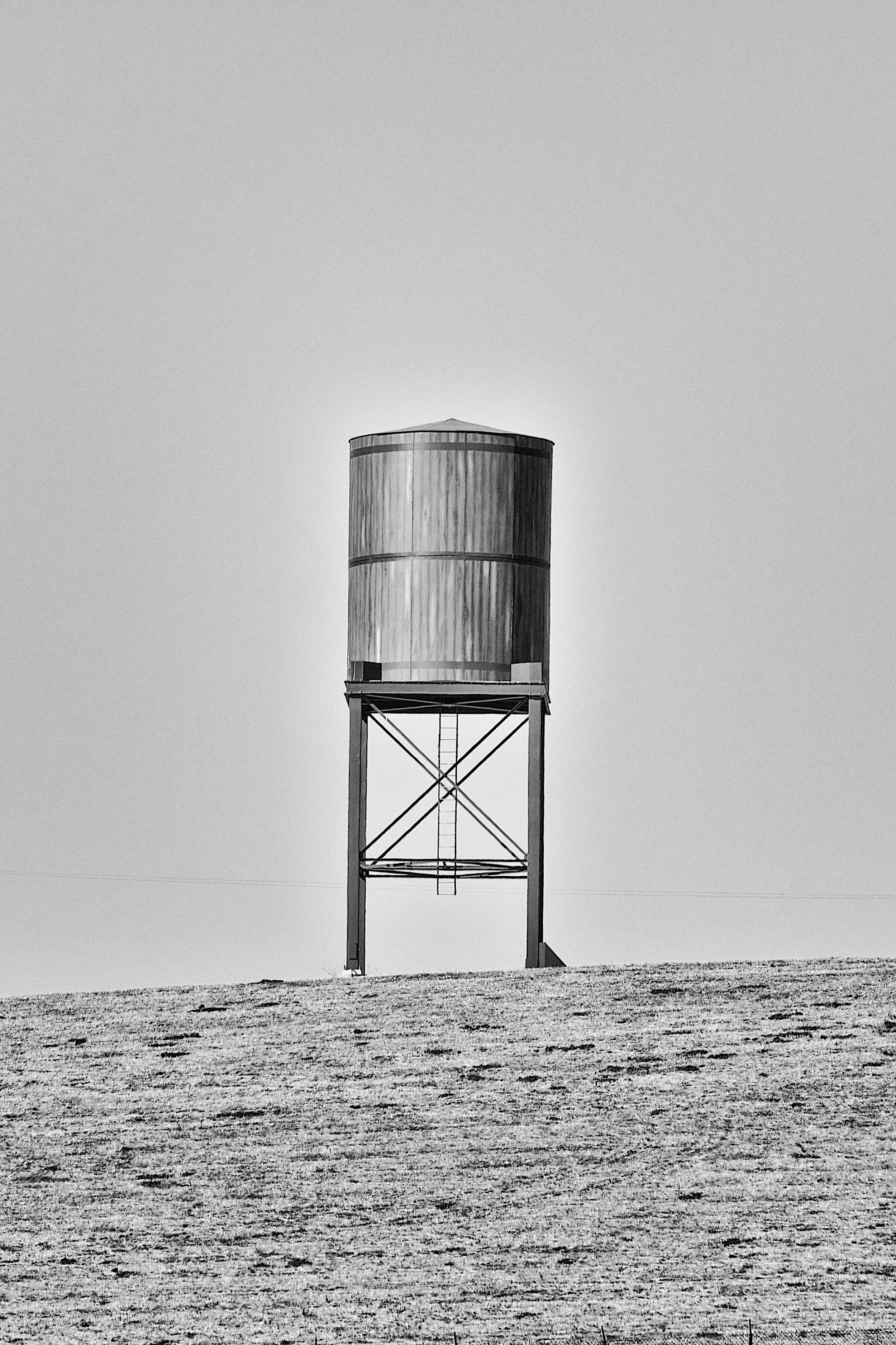 DSC_8678.jpg