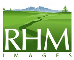 RHMImagesD05aR01cP01ZL-Madison1c_mdm.jpg