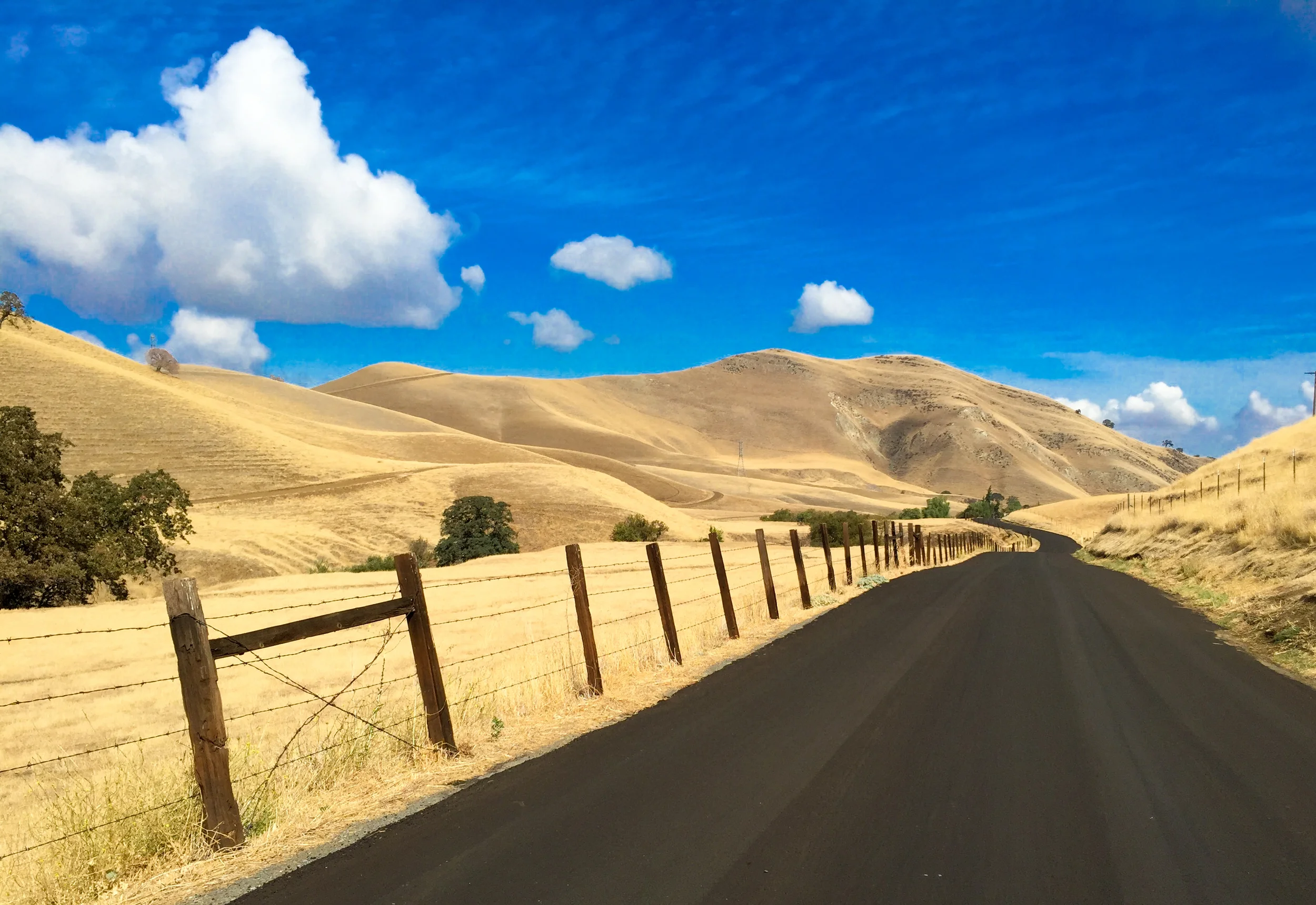 California Gold