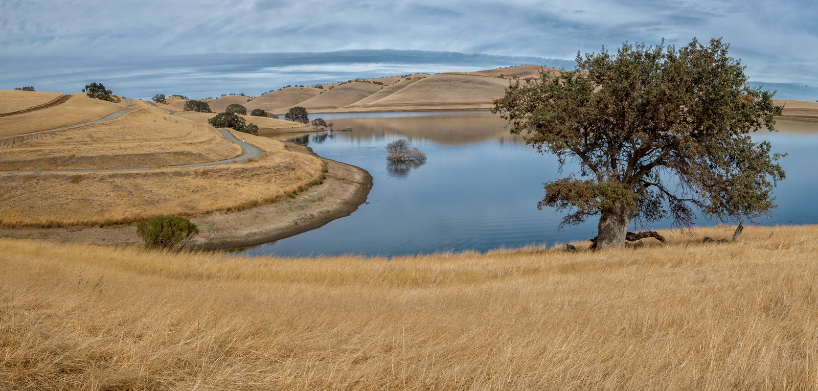 Los Vaqueros Panorama