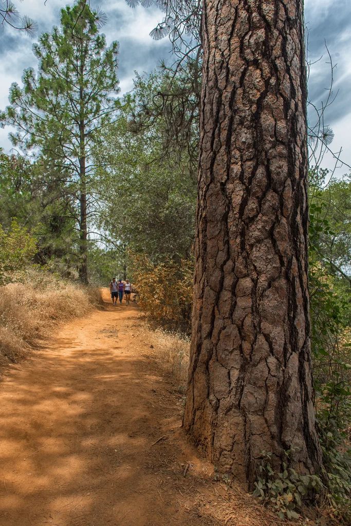 Hidden Falls Regional Park