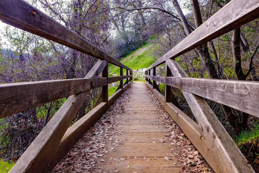 The bridge crosses some really nice streams, but they are totally dry because of the short winter. 