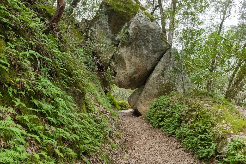 This tunnel under a giant rock can be found along the east trail. 