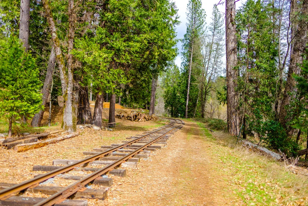 Next to the campground is the Nevada County Narrow Gauge Railroad Museum, which is a great place to visit with the family. 