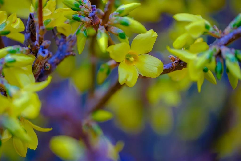 Shot handheld, thanks to the outstanding OIS features included with this lens. 