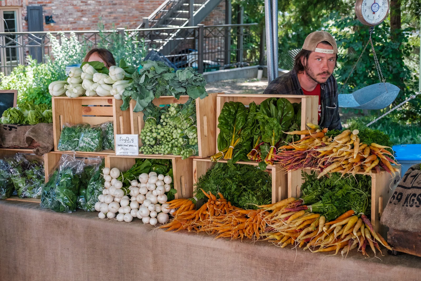 42469213962_47c1f89315_h.jpg