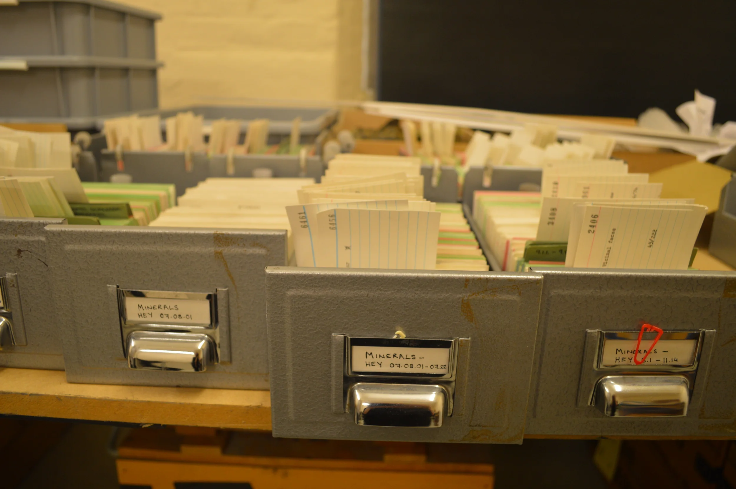  The Stores of the Natural History Museum  Photo by Adam O'Keeffe&nbsp; © 2015  