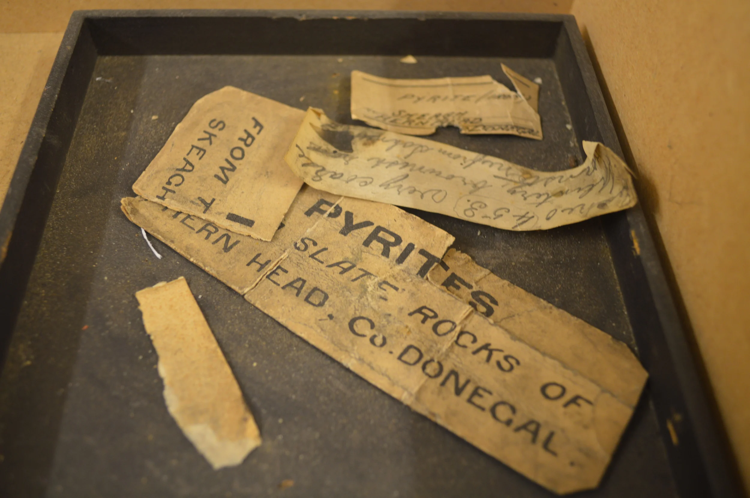  The Stores of the Natural History Museum  Photo by Adam O'Keeffe&nbsp; © 2015  